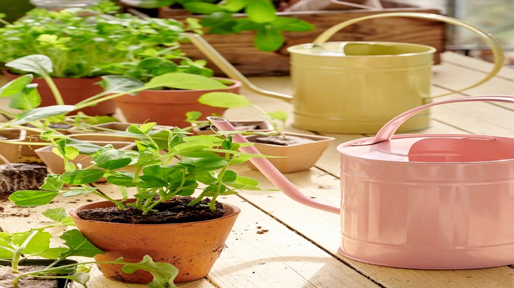 Dame entspannt auf einer Liegen in ihrem Garten neben Feuerschale